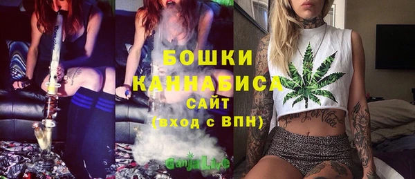 индика Наволоки