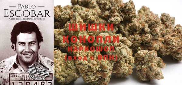индика Наволоки