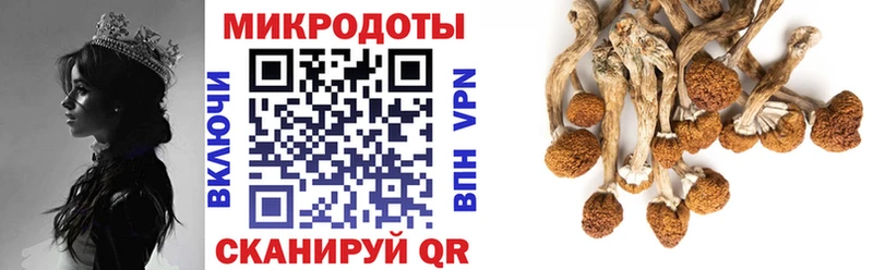 Псилоцибиновые грибы ЛСД  OMG зеркало  Пошехонье 