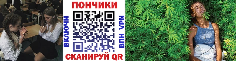 даркнет сайт Пошехонье Шишки марихуана VHQ